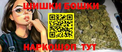 гидра Кингисепп