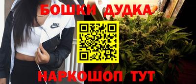 гидра Кингисепп