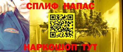 гидра Кингисепп